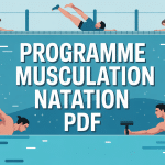 programme musculation pour natation pdf illustration dynamique piscine