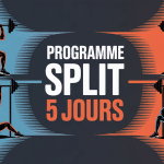 programme split 5 jours illustration musculation couleurs dynamiques