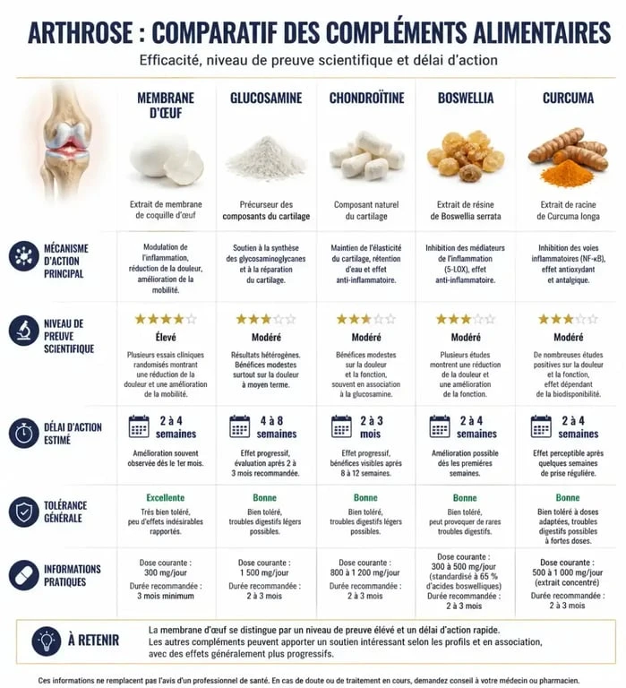Infographie comparative des meilleurs compléments alimentaires contre l'arthrose : efficacité et délais d'action.