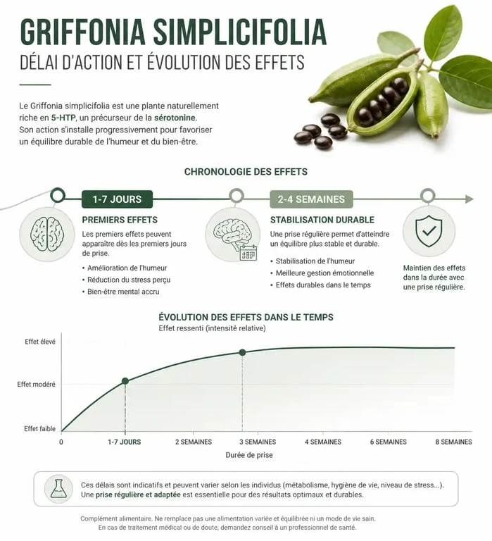 Infographie sur le délai d'action du Griffonia simplicifolia et ses effets sur l'humeur et le sommeil