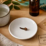 Maux de dents et clou de girofle : clou entier et huile diluée pour soulager