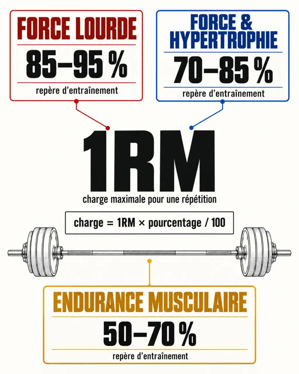 Tableau de force musculation avec zones de charge selon le pourcentage de 1RM